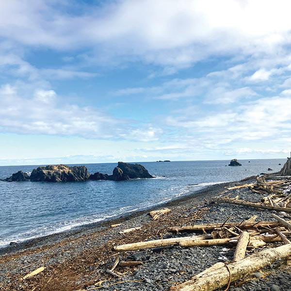 Drift wood